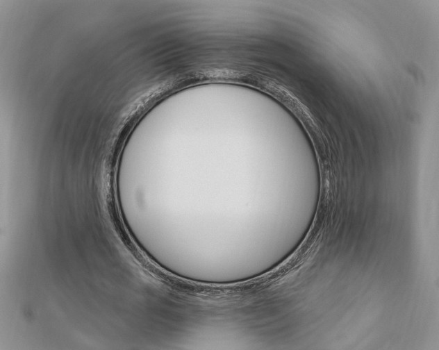 X0000112920725200908241030