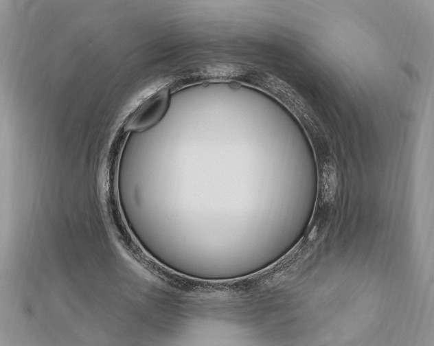 X0000112920726200908241030