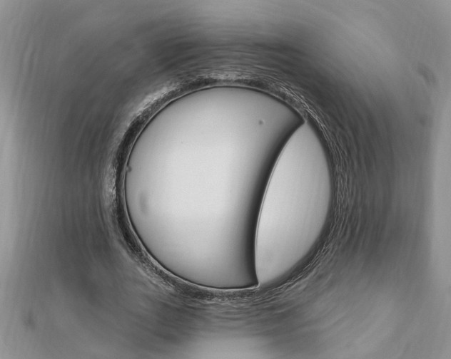 X0000112920727200908241030