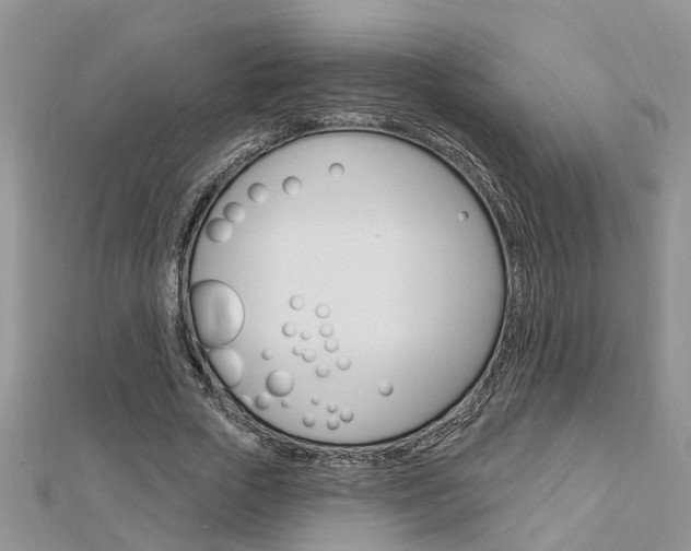 X0000112920729200908241030