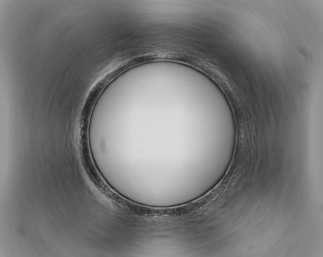 X0000112920730200908241030