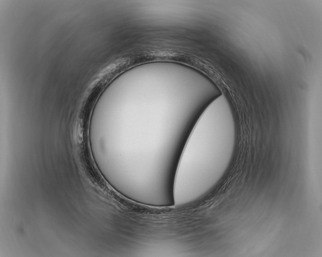 X0000112920731200908241030