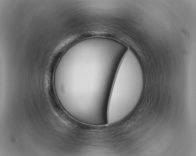 X0000112920732200908241030