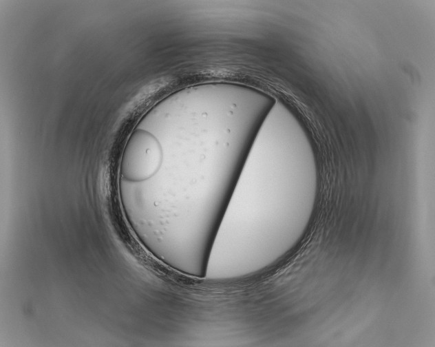 X0000112920734200908241030