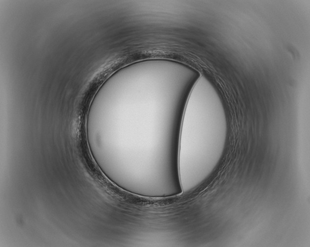 X0000112920735200908241030