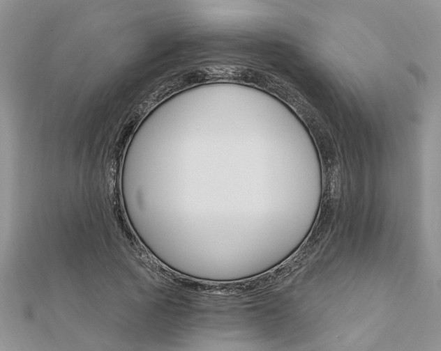 X0000112920737200908241030