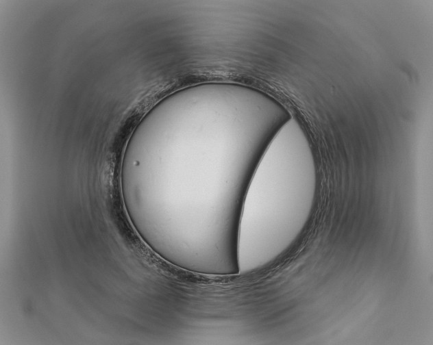 X0000112920739200908241031