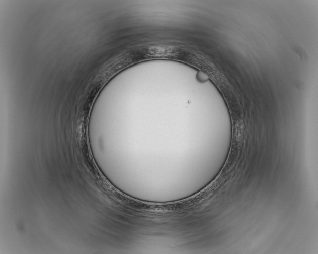 X0000112920741200908241031
