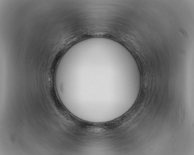 X0000112920743200908241031
