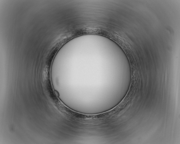 X0000112920744200908241031