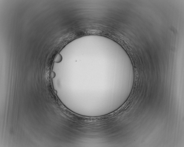 X0000112920745200908241031