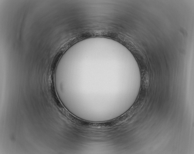 X0000112920746200908241031