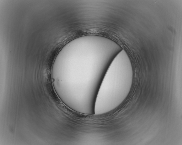 X0000112920747200908241031