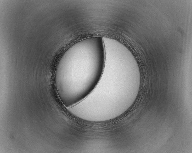 X0000112920750200908241031