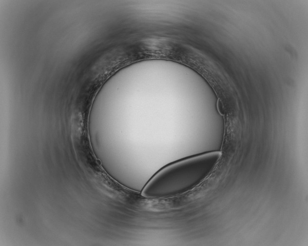 X0000112920752200908241031