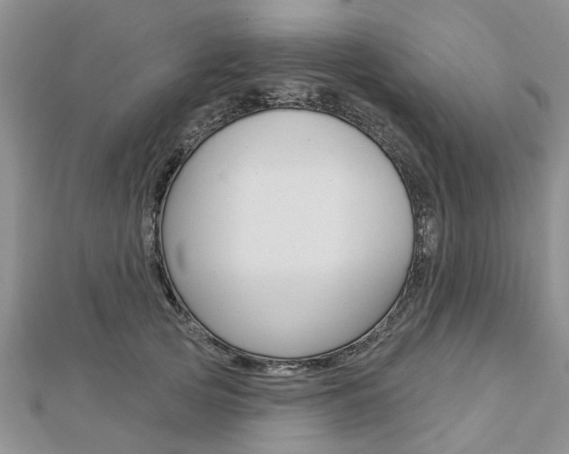 X0000112920753200908241031