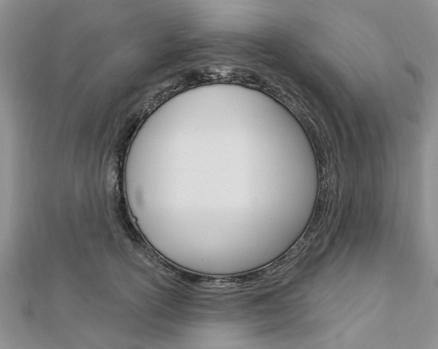 X0000112920754200908241031
