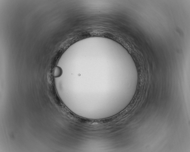 X0000112920755200908241031