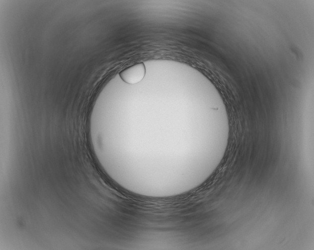 X0000112920756200908241031