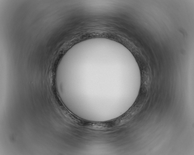 X0000112920758200908241031