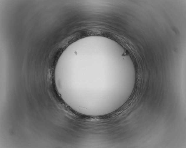 X0000112920759200908241031