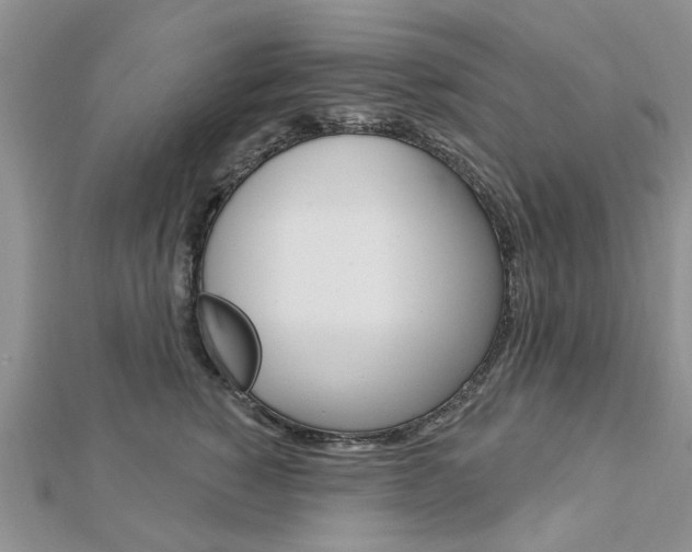 X0000112920760200908241031