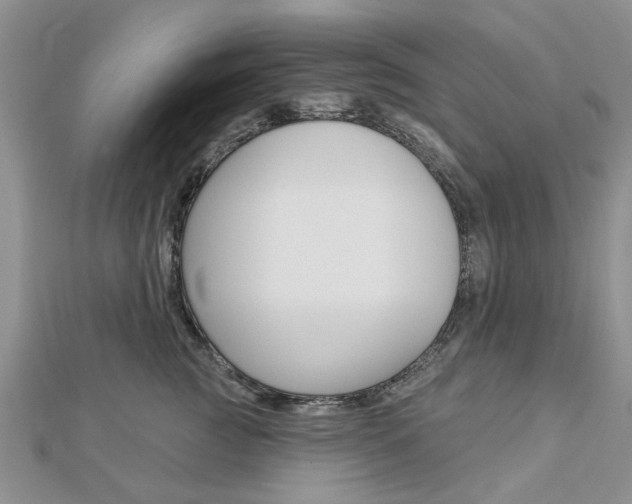 X0000112920761200908241031