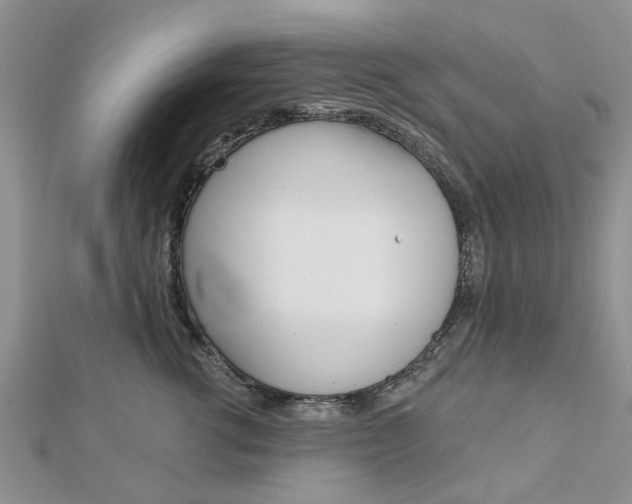 X0000112920762200908241031