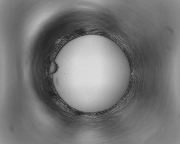 X0000112920763200908241031
