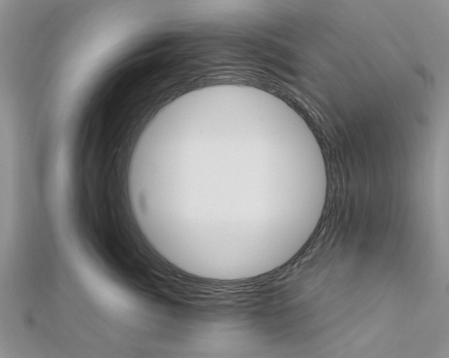 X0000112920764200908241031