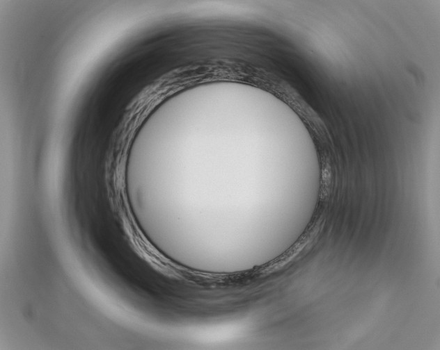 X0000112920765200908241031