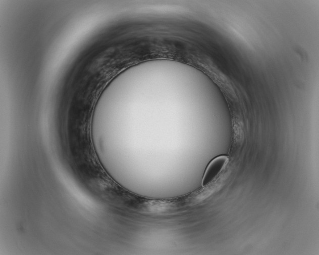X0000112920766200908241031