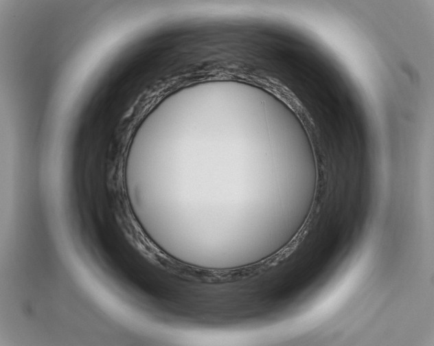 X0000112920767200908241031