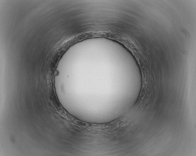 X0000112920773200908241030