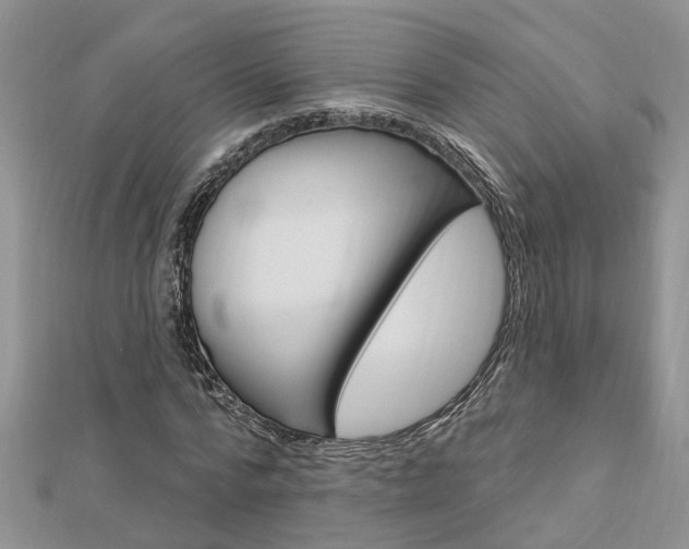 X0000112920776200908241030