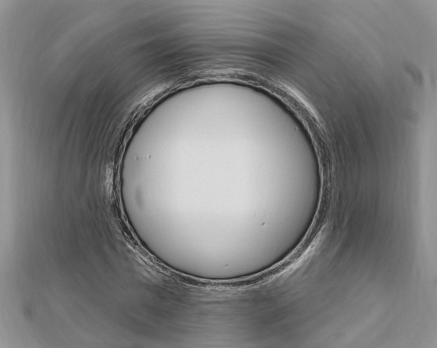 X0000112920777200908241030
