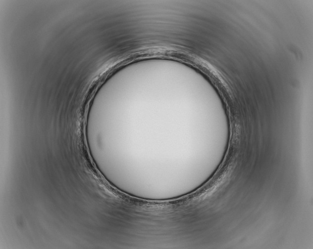 X0000112920778200908241030