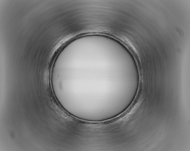 X0000112920781200908241030