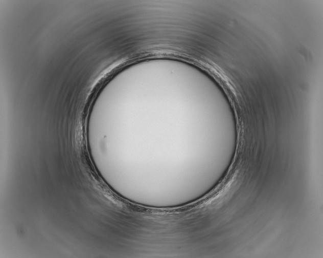X0000112920782200908241030