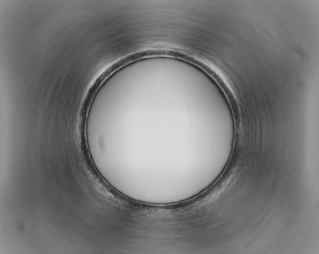 X0000112920783200908241030