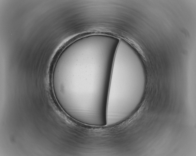X0000112920784200908241030
