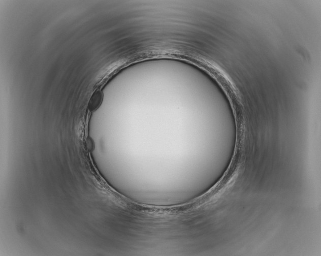 X0000112920785200908241030
