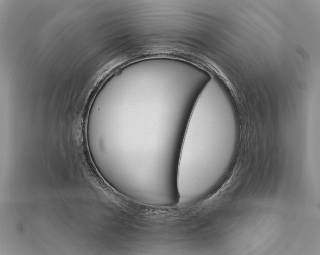 X0000112920786200908241030