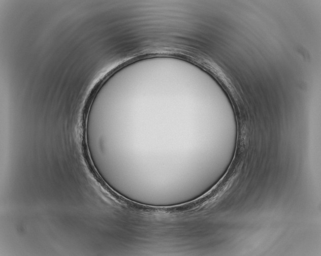 X0000112920787200908241030