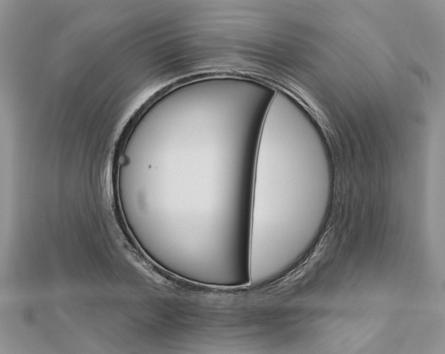 X0000112920788200908241030