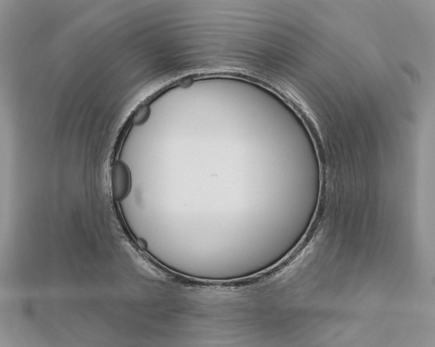 X0000112920789200908241030
