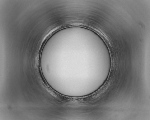 X0000112920790200908241030