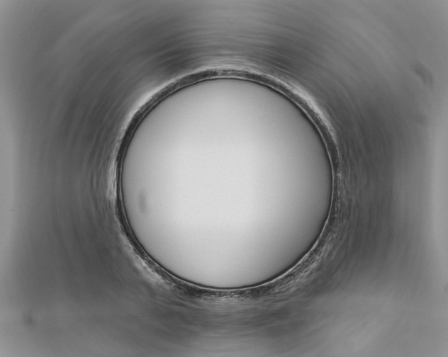 X0000112920791200908241030