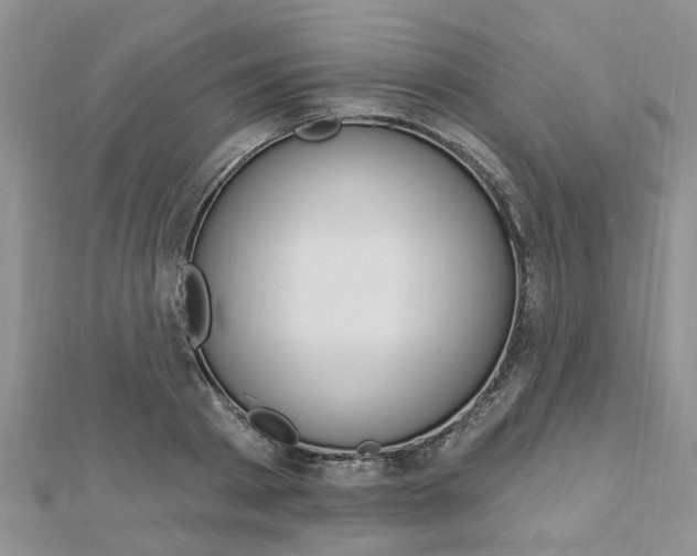 X0000112920793200908241030
