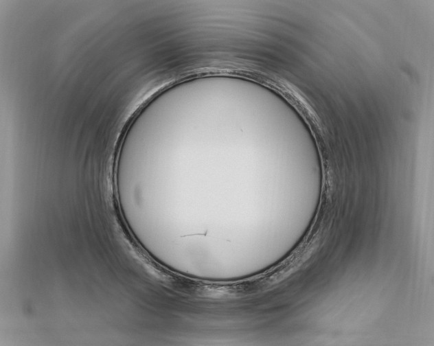 X0000112920794200908241030